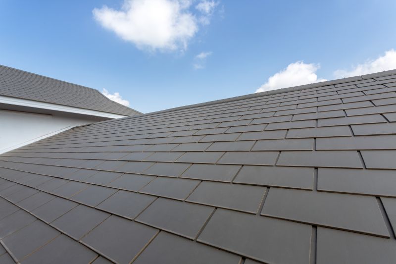 Slate Roofing Service in Alexandria, VA